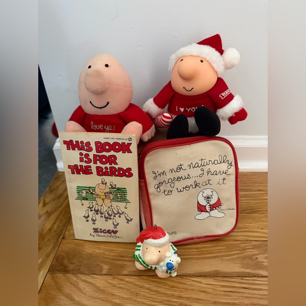 Ziggy plush(2), book, sm zippered pouch, & ornament. Used. See pics. $25